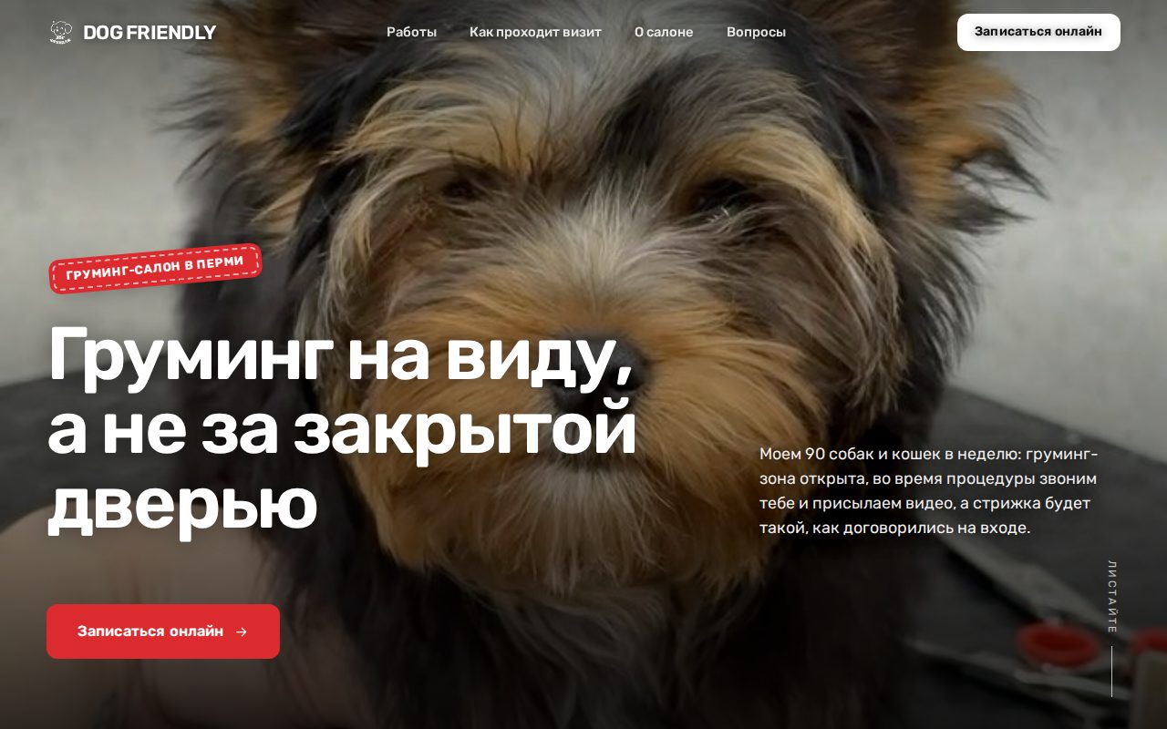 Сайт @dogfriendly_dom, собранный Vitrine